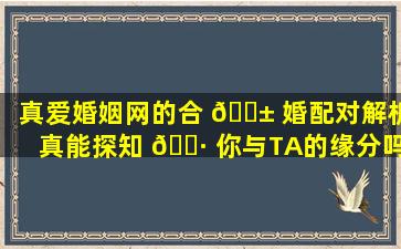 真爱婚姻网的合 🐱 婚配对解析真能探知 🌷 你与TA的缘分吗